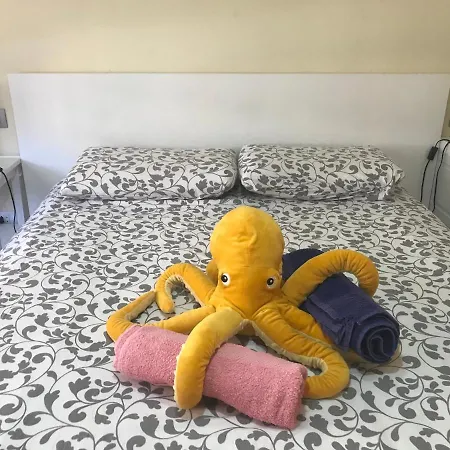 Apartment Medano Octopus